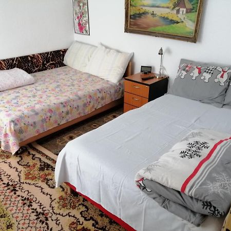 Turnu MăgureleRustic Houseアパートメント エクステリア 写真