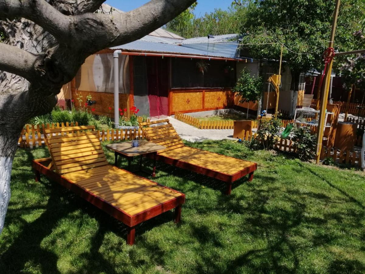 Turnu MăgureleRustic Houseアパートメント エクステリア 写真