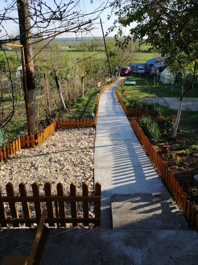 Turnu MăgureleRustic Houseアパートメント エクステリア 写真
