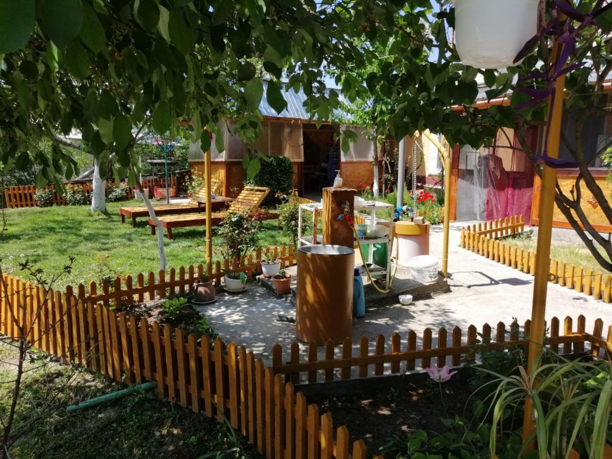 Turnu MăgureleRustic Houseアパートメント エクステリア 写真