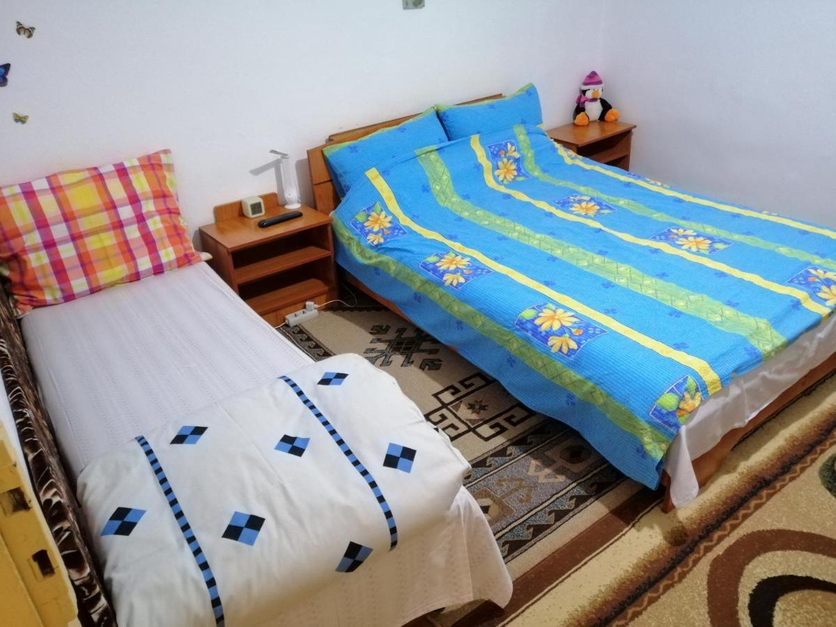 Turnu MăgureleRustic Houseアパートメント エクステリア 写真