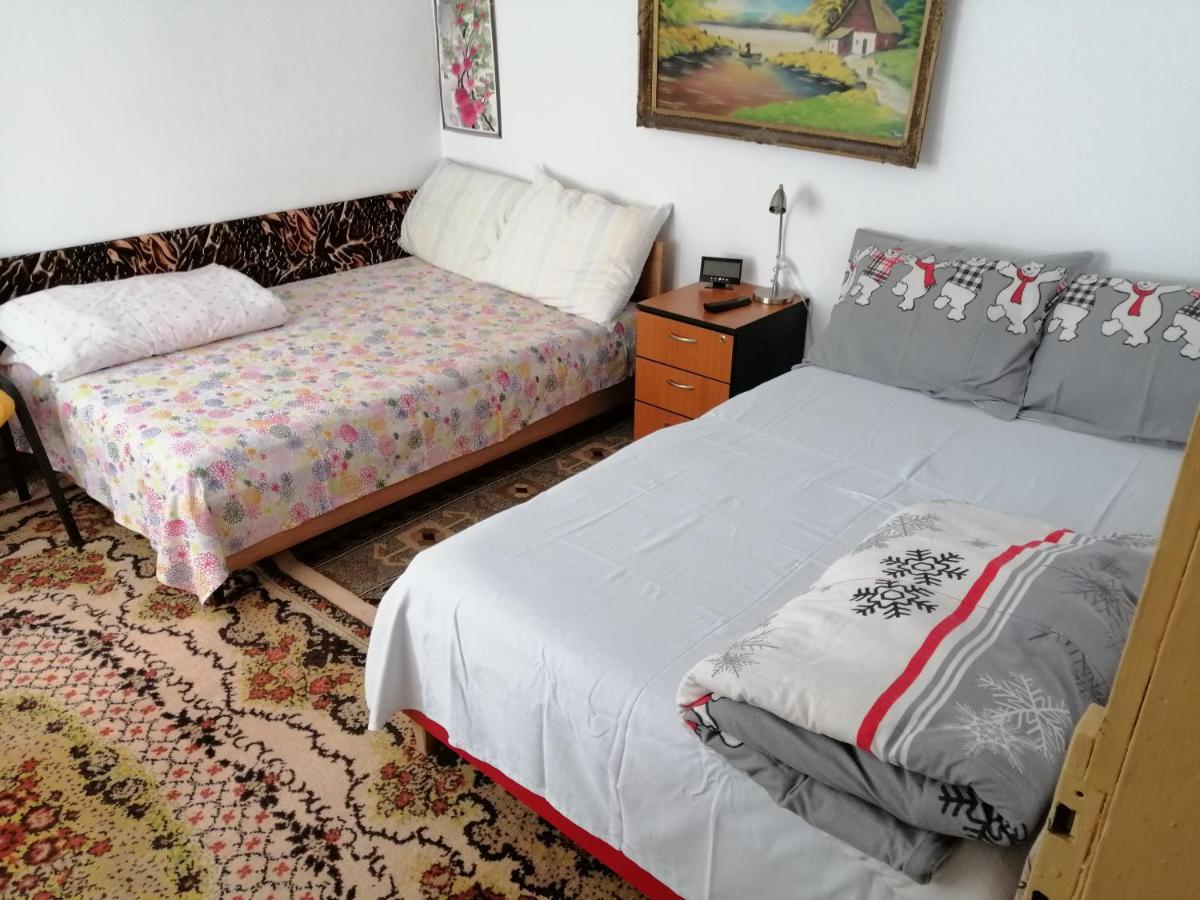 Turnu MăgureleRustic Houseアパートメント エクステリア 写真