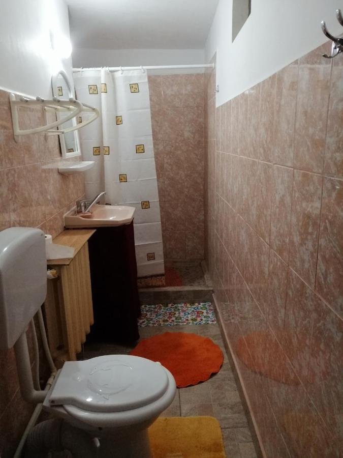 Turnu MăgureleRustic Houseアパートメント エクステリア 写真